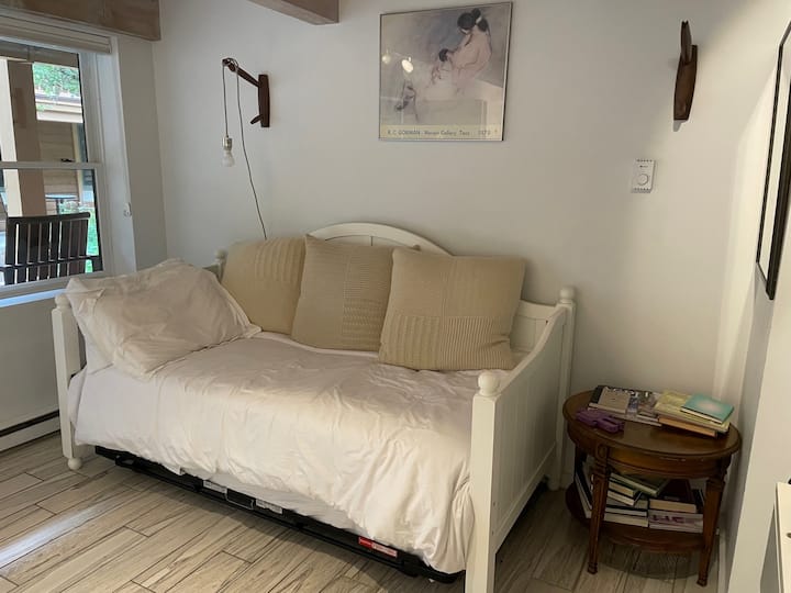 Well-appointed Studio In Aspen Core - Aspen, CO