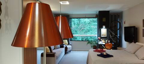 Nice studio in Brasilia