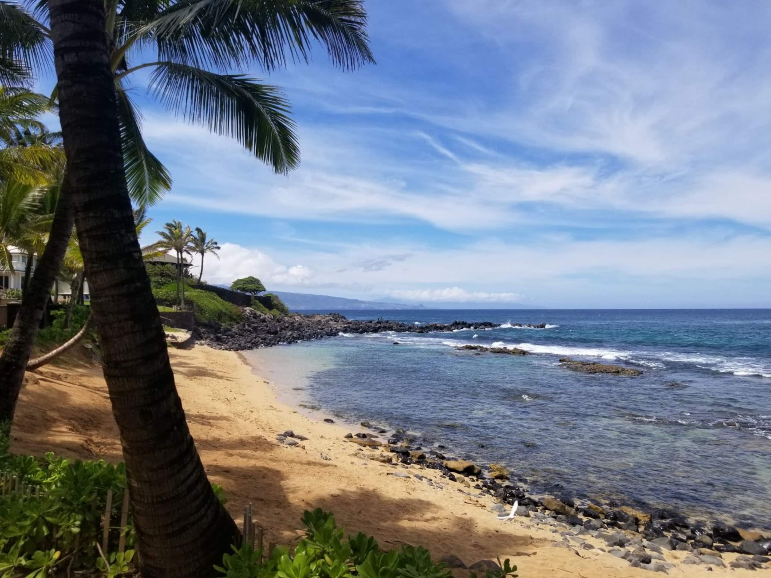Home in Kihei · ★4.91 · 3 bedrooms · 3 beds · 1 bath - Image 13