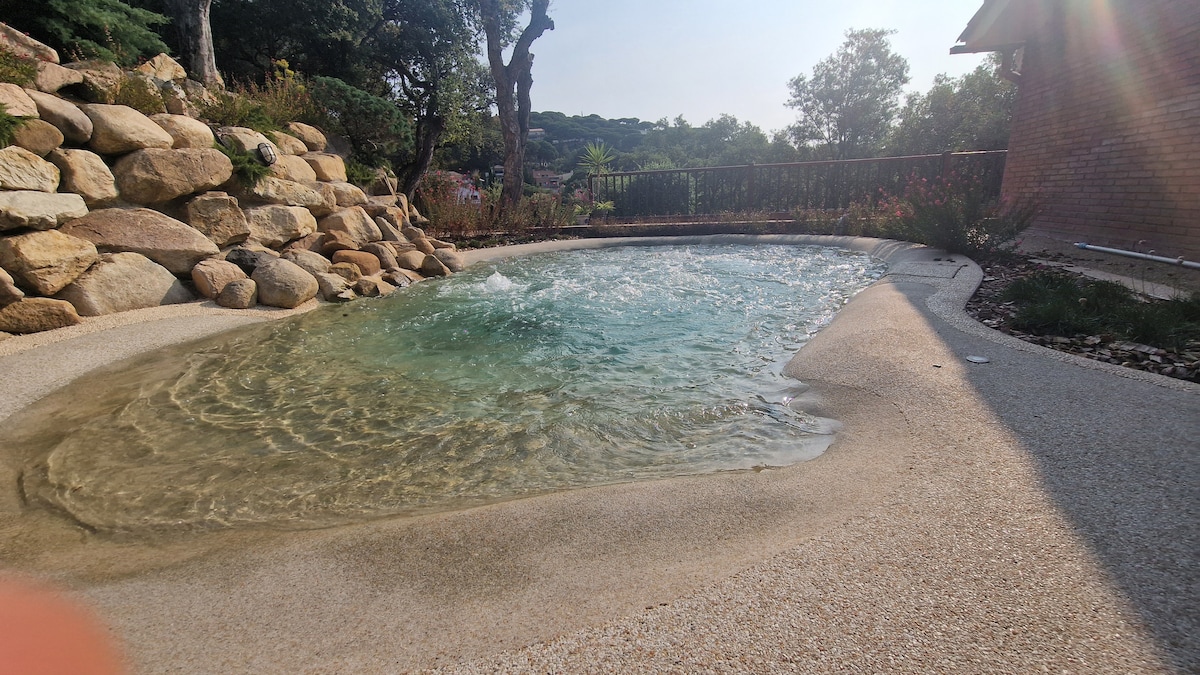 A beach-style pool is visible, featuring a gently sloping entry and a textured surface. Surrounding rocks and greenery enhance the natural setting. The water shows light ripples under sunlight, reflecting a calm atmosphere.