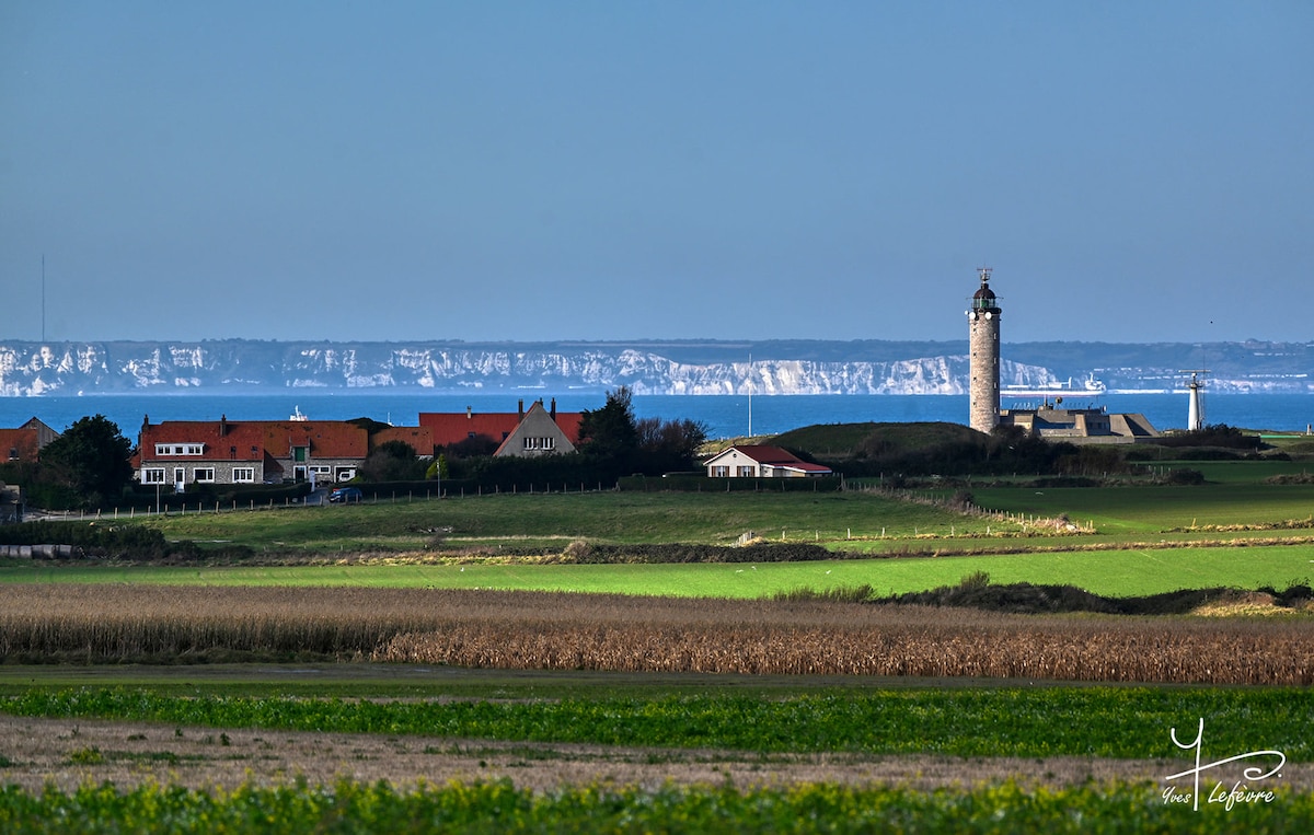 A serene landscape features a distant view of a lighthouse beside residential buildings amidst lush green fields. The coastline, marked by striking cliffs, is visible in the background, contrasting with the clear blue sky.