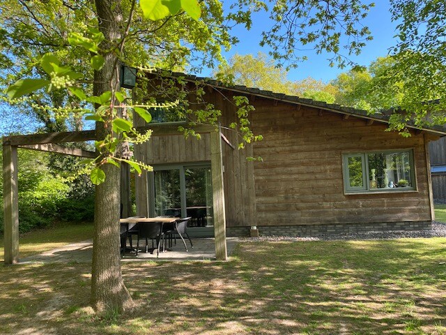 A wooden bungalow is situated beneath a canopy of green trees, featuring a spacious terrace with outdoor seating. Large glass doors provide a view of the surrounding nature, while the natural materials of the structure blend harmoniously with the environment.
