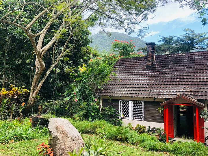 Blue Mountains Holiday Rentals & Homes Portland Parish, Jamaica Airbnb