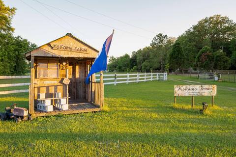 Nature lover/Artist cabin peaceful Rescue Farm