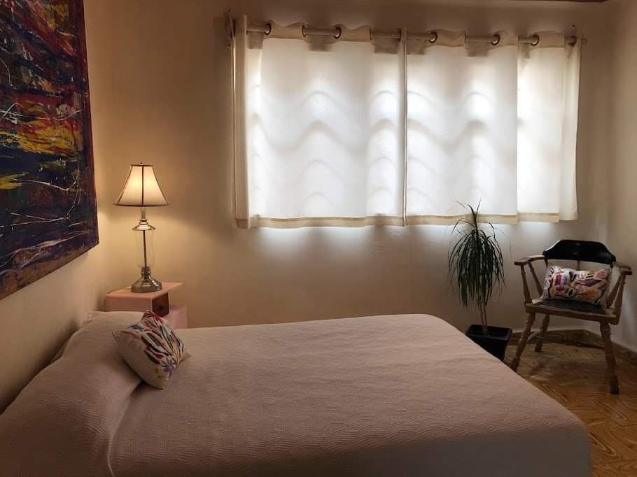 A cozy bedroom features a spacious bed adorned with a textured white coverlet and a decorative pillow. A bedside lamp illuminates the space beside the bed. Natural light filters through sheer curtains, highlighting a small potted plant and a wooden chair in the corner.