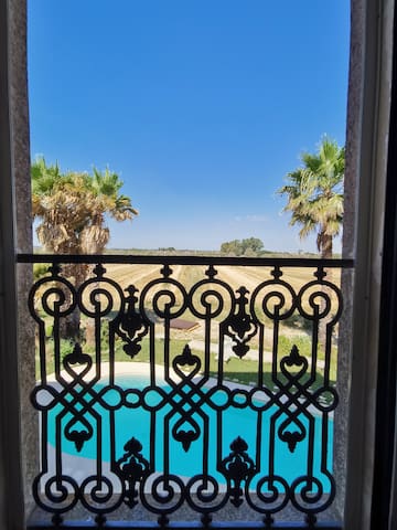 Antica Tenuta il Greco luxury swimming pool! gallery image 3