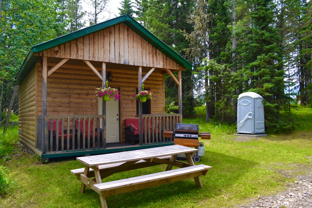 The rustic cabin features a wooden façade and a covered porch. A picnic table is situated in front, complemented by a BBQ grill nearby. Surrounded by lush greenery, an outhouse is positioned to the side, maintaining a natural and serene environment.