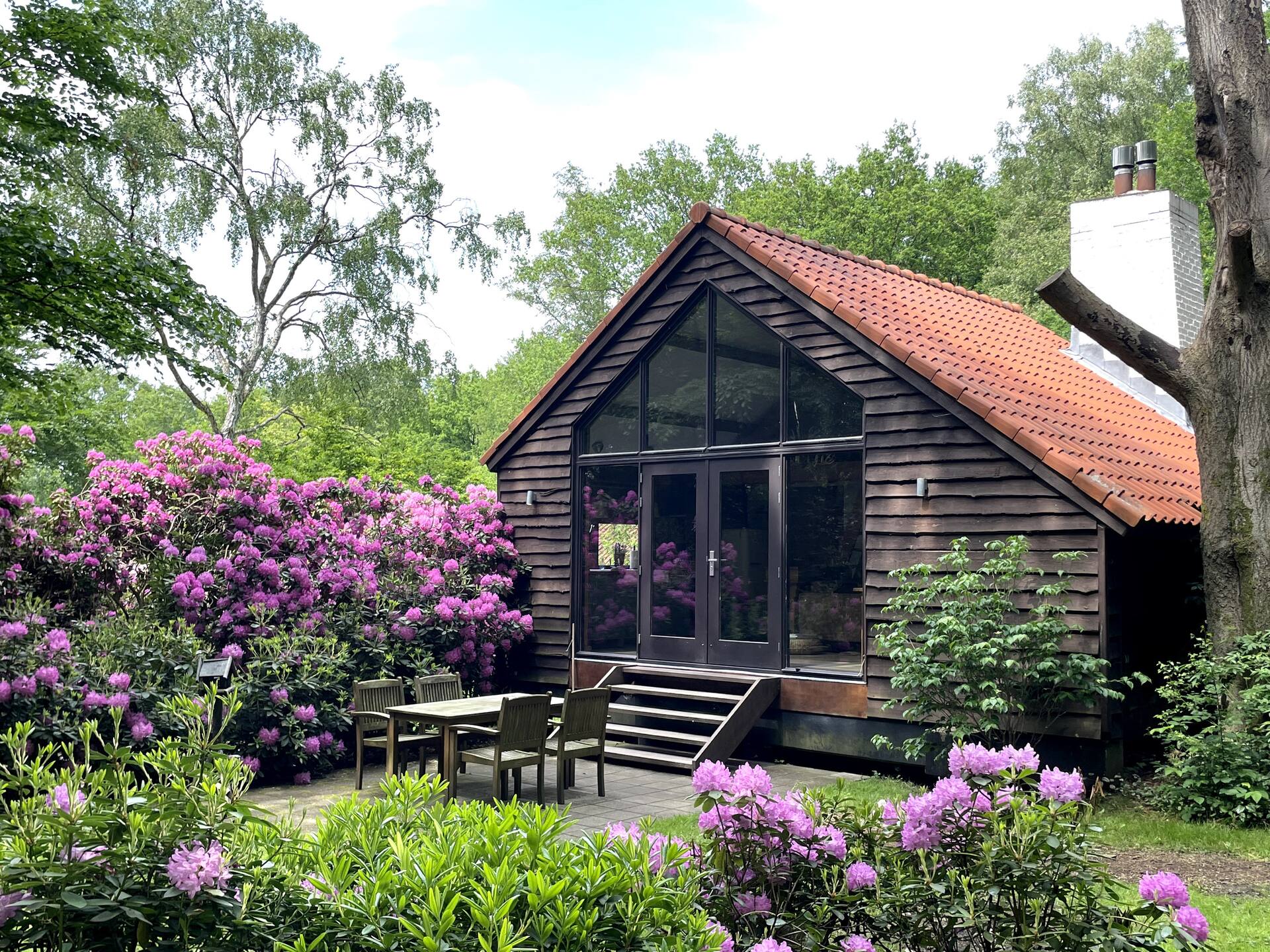 Treehouse Studio: stylish luxury with private forest