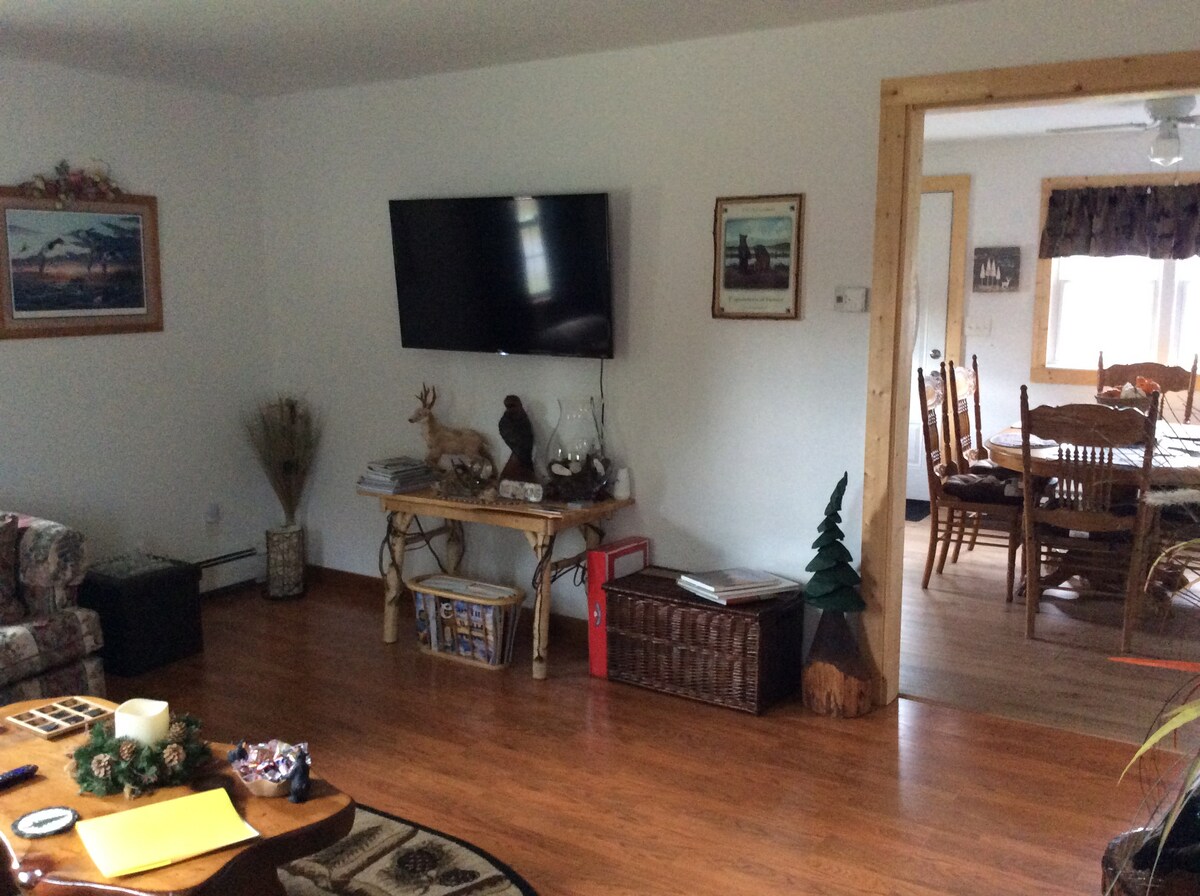Successful Airbnb property: Old Forge home (The Terriott) in Old Forge