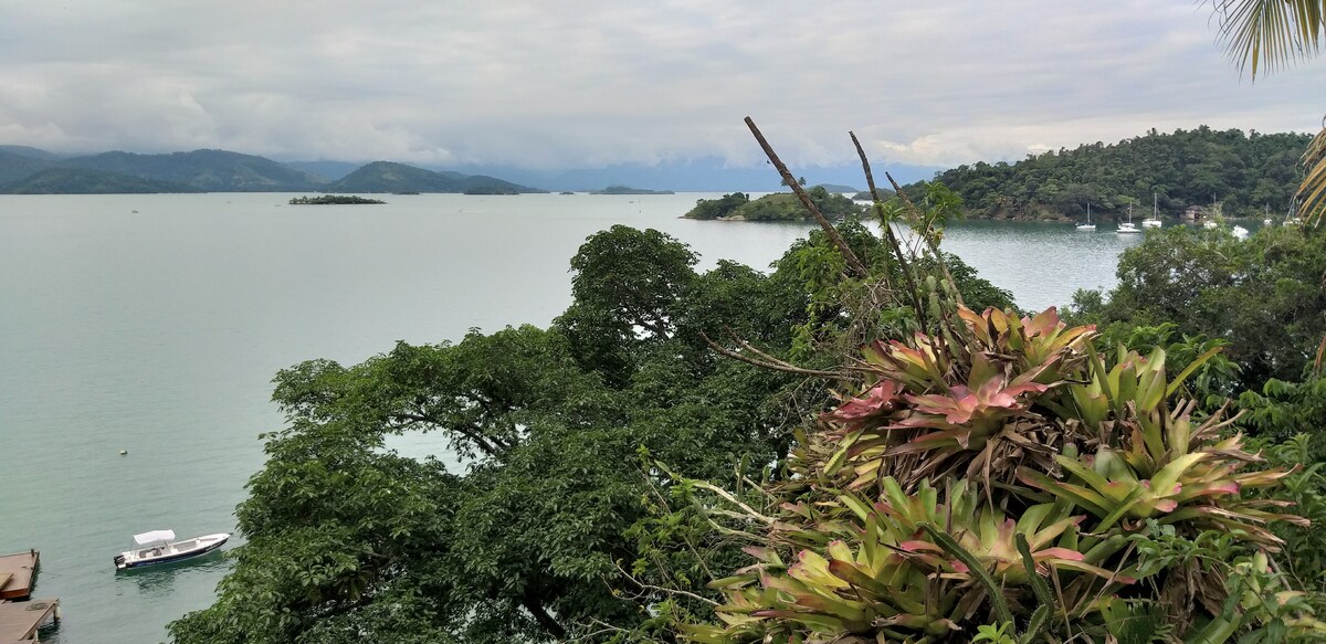 A scenic view captures the tranquil waters with lush greenery framing the landscape. Tropical plants, including heliconias, are positioned in the foreground, while the distant shoreline showcases a mix of land and boats. The horizon reveals misty mountains under a soft cloud cover.