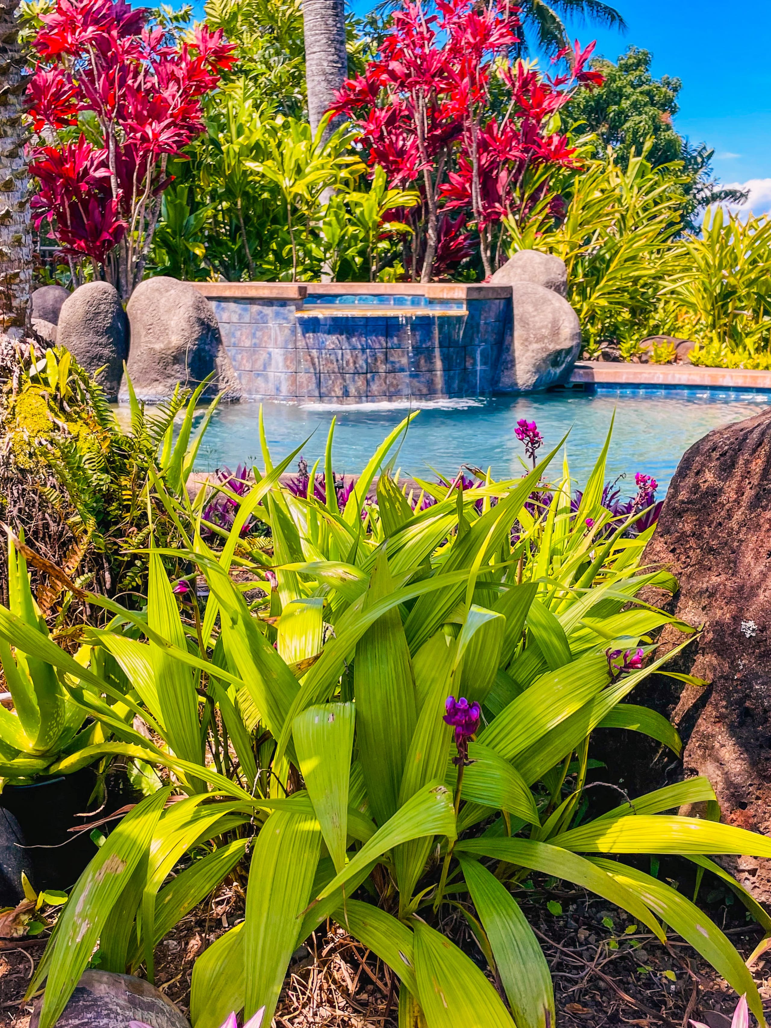 Home in Haiku-Pauwela · ★4.88 · 3 bedrooms · 4 beds · 2 baths - Photo 5
