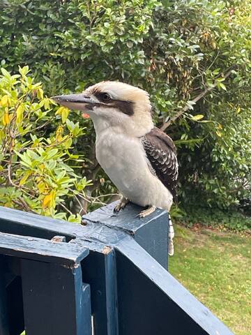 Relax with space and ocean views gallery image 5