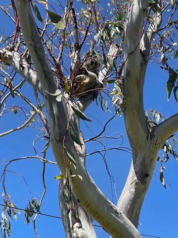 Relax with space and ocean views gallery image 4