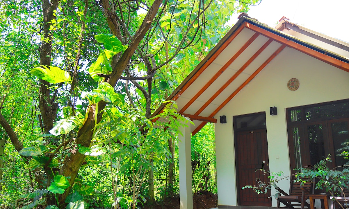 A charming entrance to a cozy bungalow is framed by lush greenery, showcasing vibrant leaves and natural surroundings. The structure features a sloped roof with wooden accents, complemented by a wooden door and large windows that invite the outdoors in.