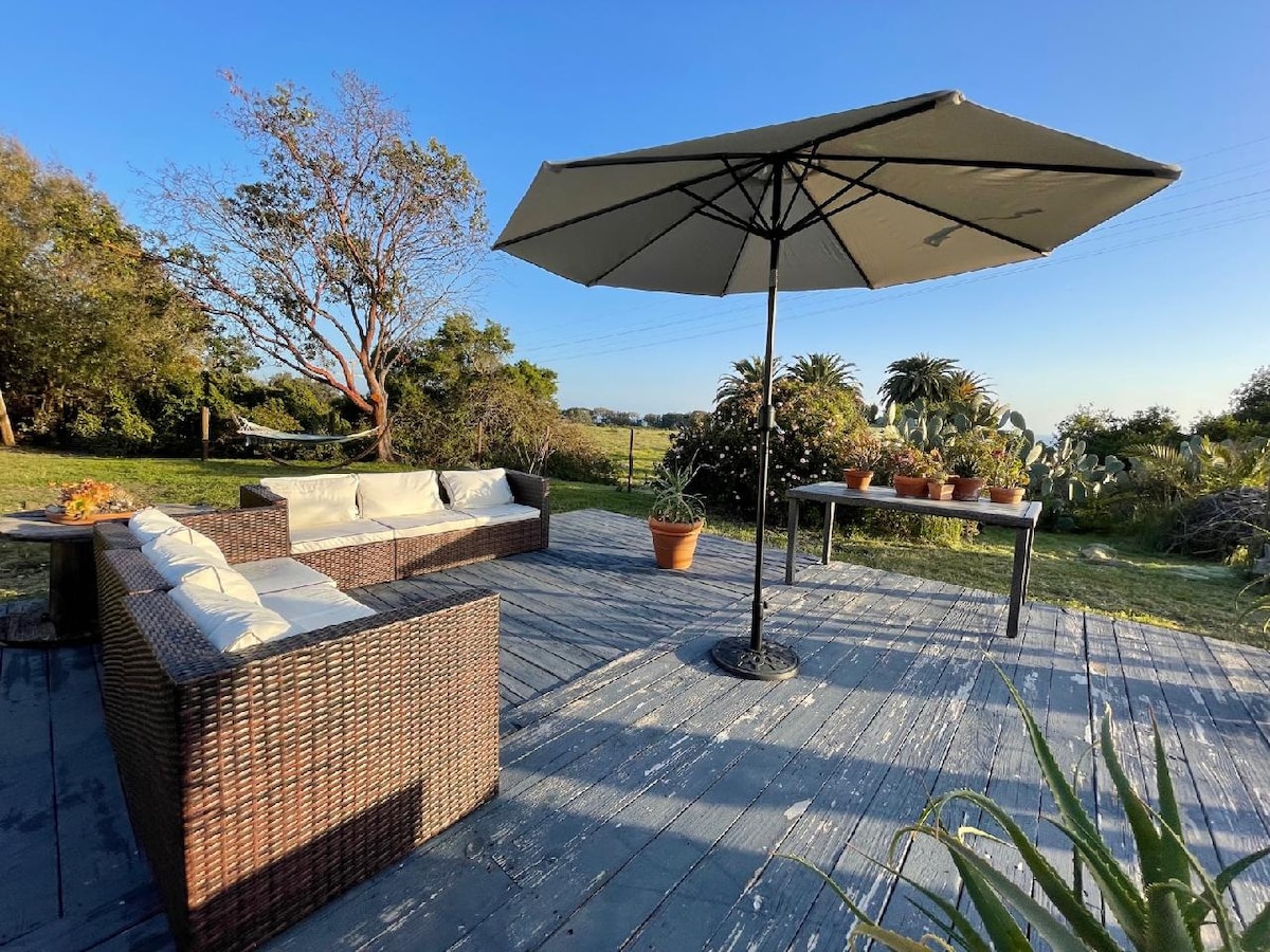 A shaded outdoor seating area is set on a wooden deck, featuring a large umbrella above a wicker seating arrangement. A table is positioned nearby, surrounded by potted plants, with trees and shrubs visible in the background against a clear blue sky.