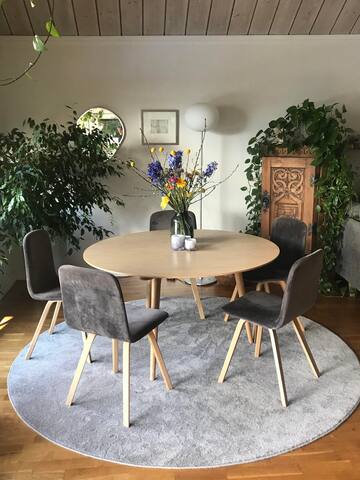 Charming, central, and big garden gallery image 5