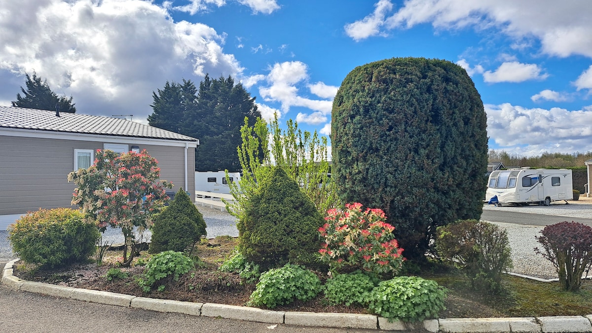 A well-maintained garden area features a variety of shrubs, including a rounded evergreen and blooming flowers. Hues of green and pink are present among the foliage. The backdrop includes a gray structure and clear blue skies, creating an inviting outdoor environment.
