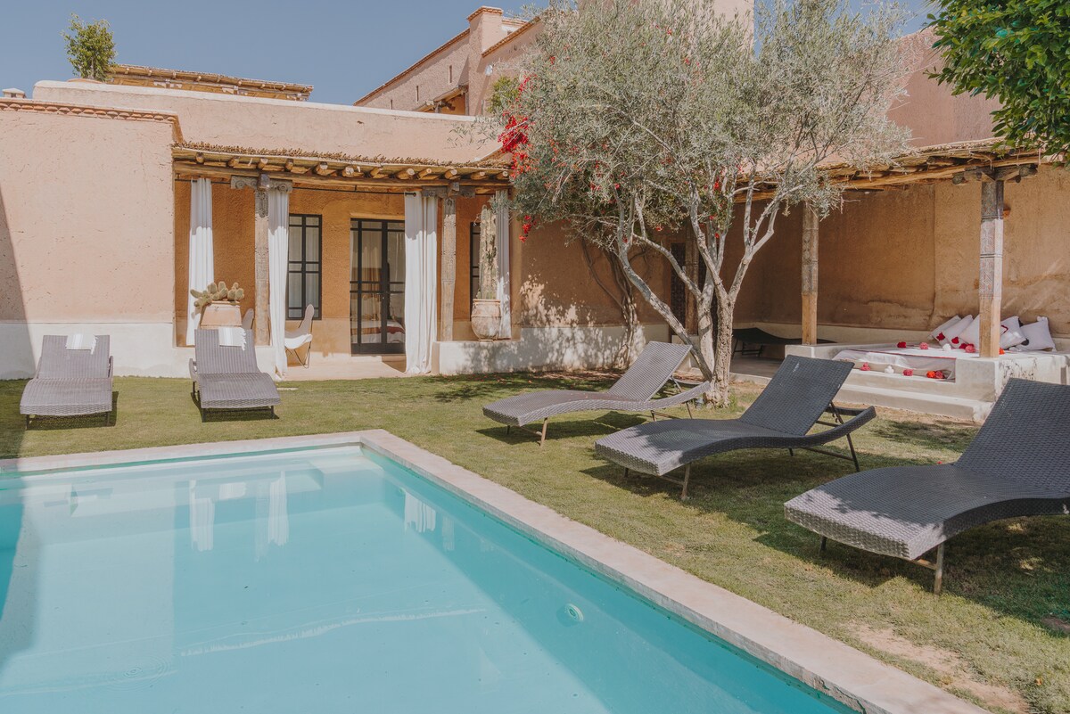 A serene outdoor area features a clear swimming pool surrounded by well-kept grass. Lounge chairs are positioned around the pool, with olive trees providing gentle shade. The background showcases traditional architecture and soft drapery, enhancing the tranquil atmosphere of the space.