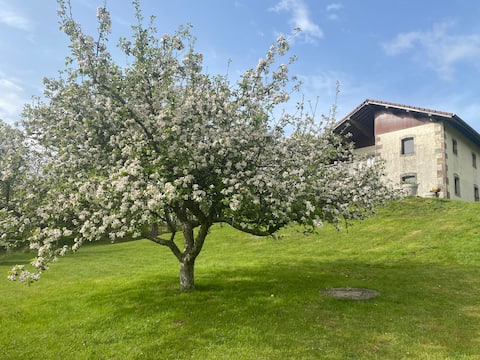 Country house 8-10 people