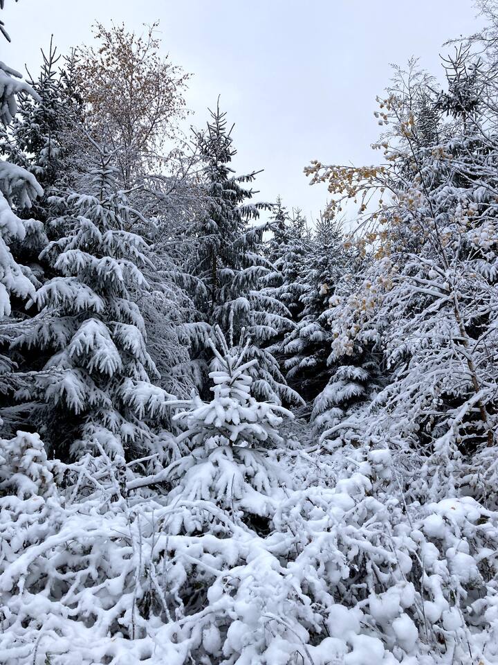 Top 10 ShortTerm Rentals In Germany Updated 2024 Trip101