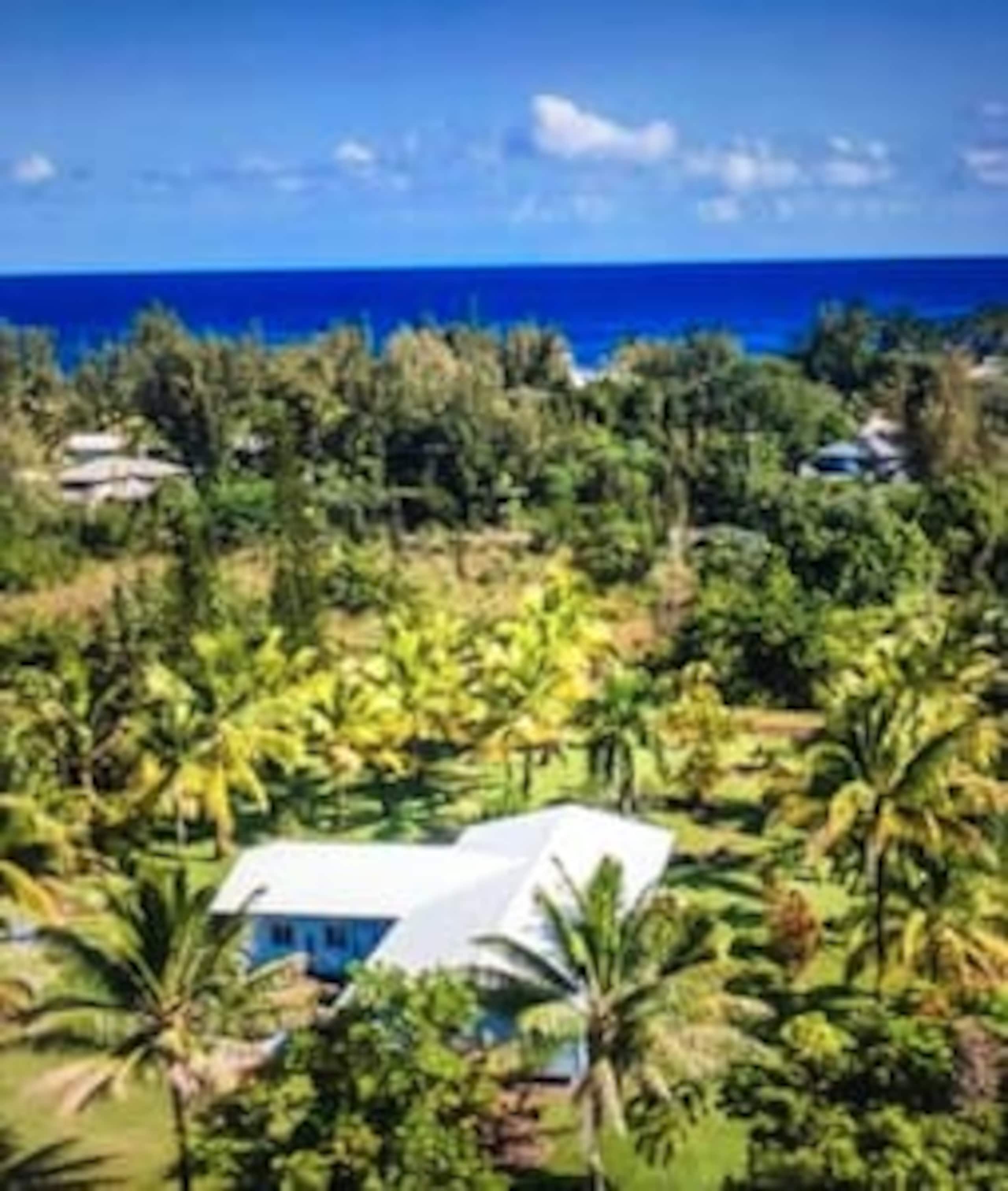 Makuu Palms studio Walk to the Ocean - Photo 11