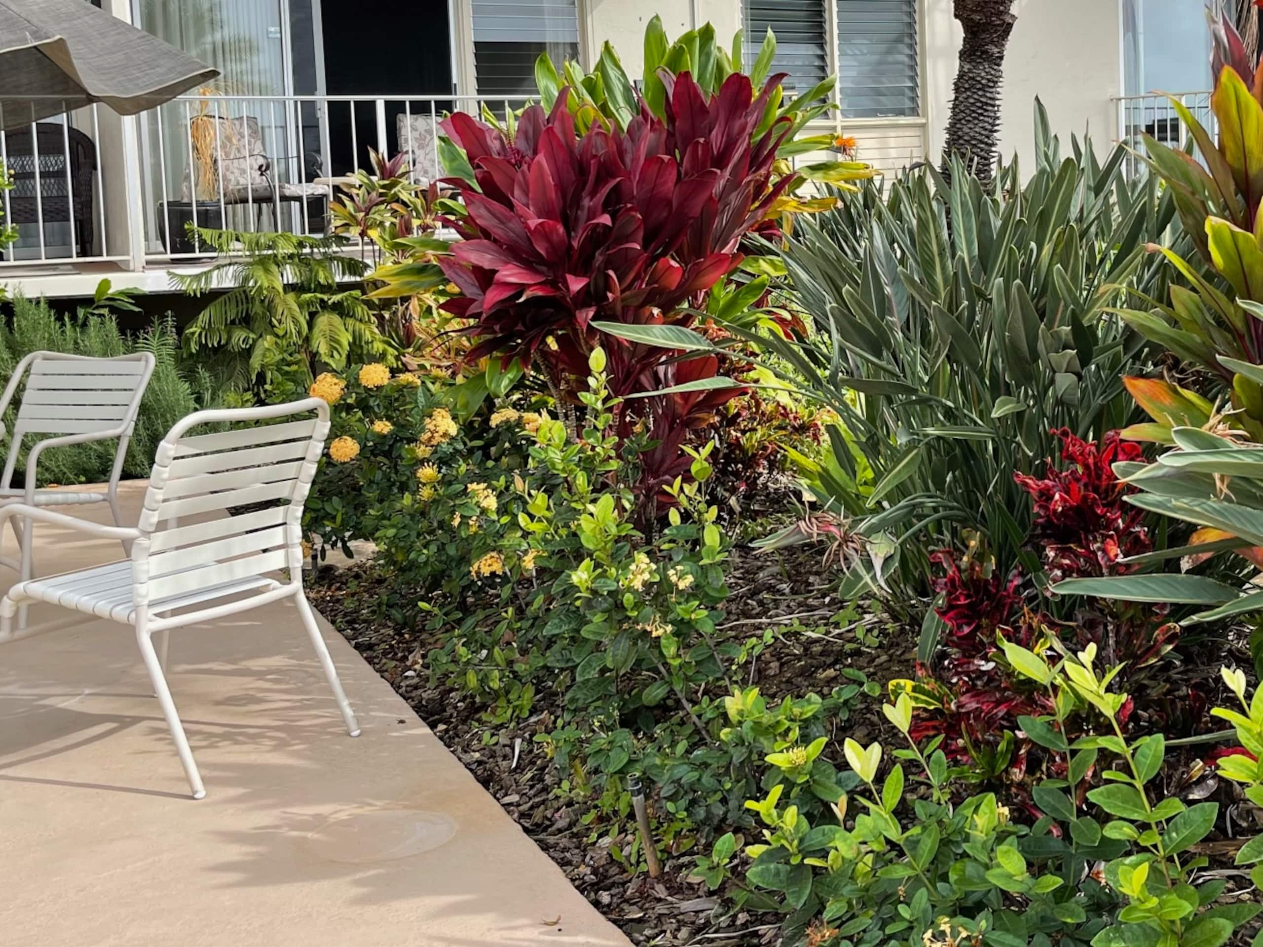 Condo in Koloa · ★4.8 · 1 bedroom · 2 beds · 1 bath - Image 15