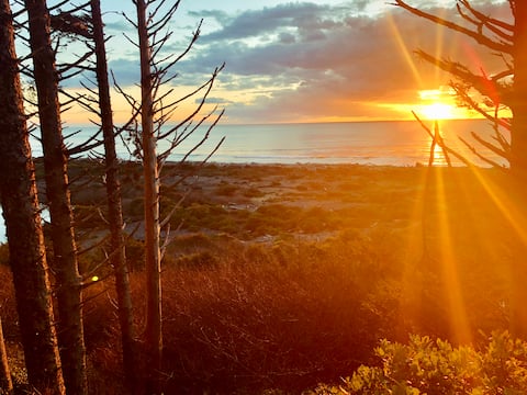 Oceanfront Olympic Cabin— Secluded & Vast (2BR)