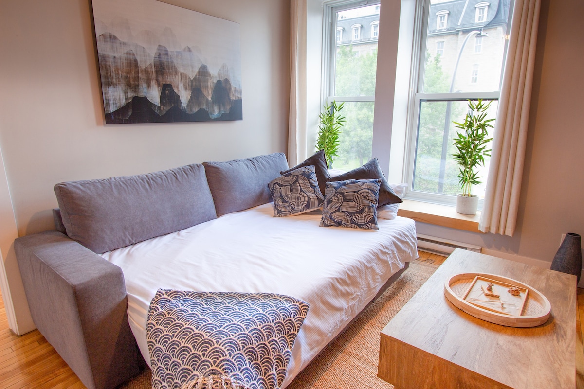Zen/Rooftop/Terraces/Plateau/St-Denis/AC/TV - Apartments for Rent
