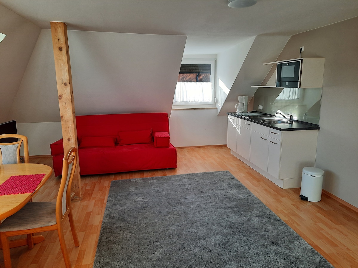 Top Airbnb: Large, cosy, bright, quiet apartment, 2beds rooms in Obersendling