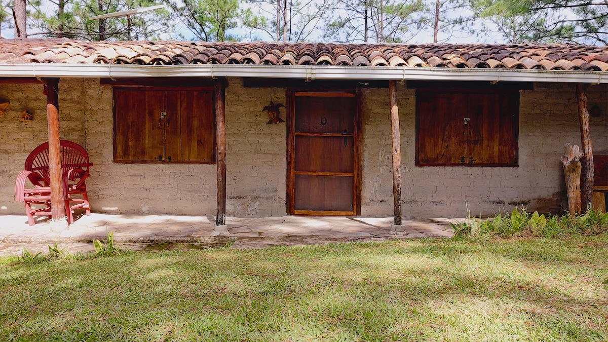 A rustic cabin exterior features a wooden door framed by two windows, with wooden shutters closed. Two red chairs are positioned on a stone path in front of the cabin. Lush green grass and nearby pine trees create a natural setting.