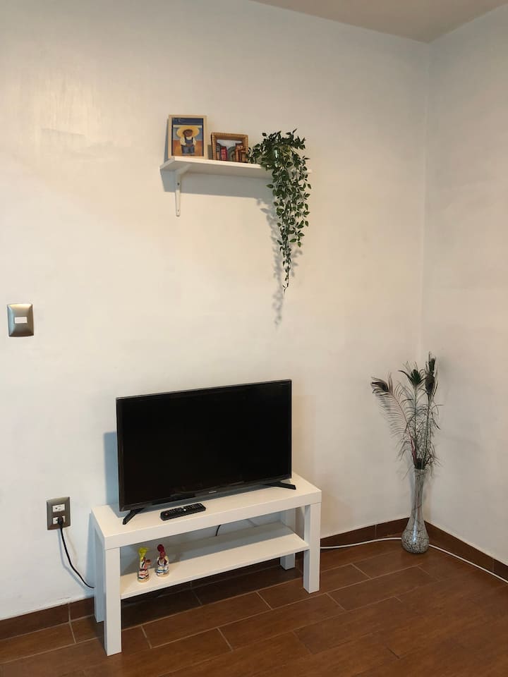 Living area. With sofa bed and smart TV with Amazon Prime.