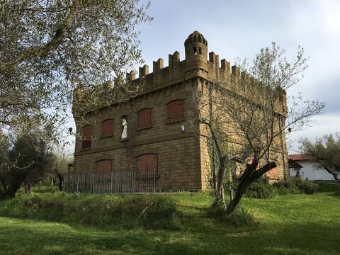 Castle/house I Merli: large lounge with fireplace!