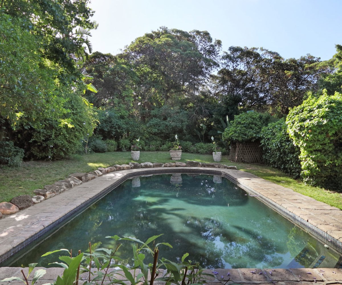 A shared saltwater pool is surrounded by lush greenery, with stone coping framing the serene water. Potted plants are positioned around the pool area, contributing to the tranquil garden setting. Sunlight filters through the surrounding trees, casting gentle shadows on the water.
