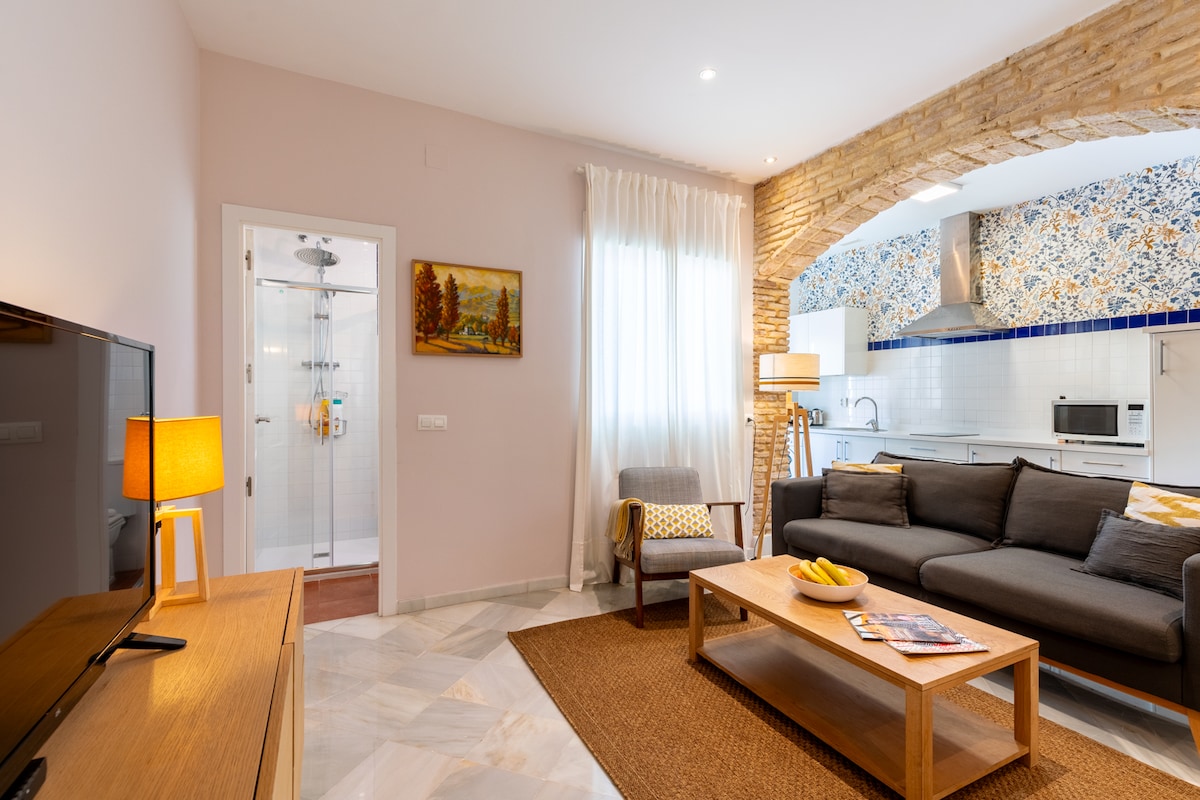 Propiedad de Airbnb exitosa: AG Bright and sunny penthouse with private terrace en Sevilla