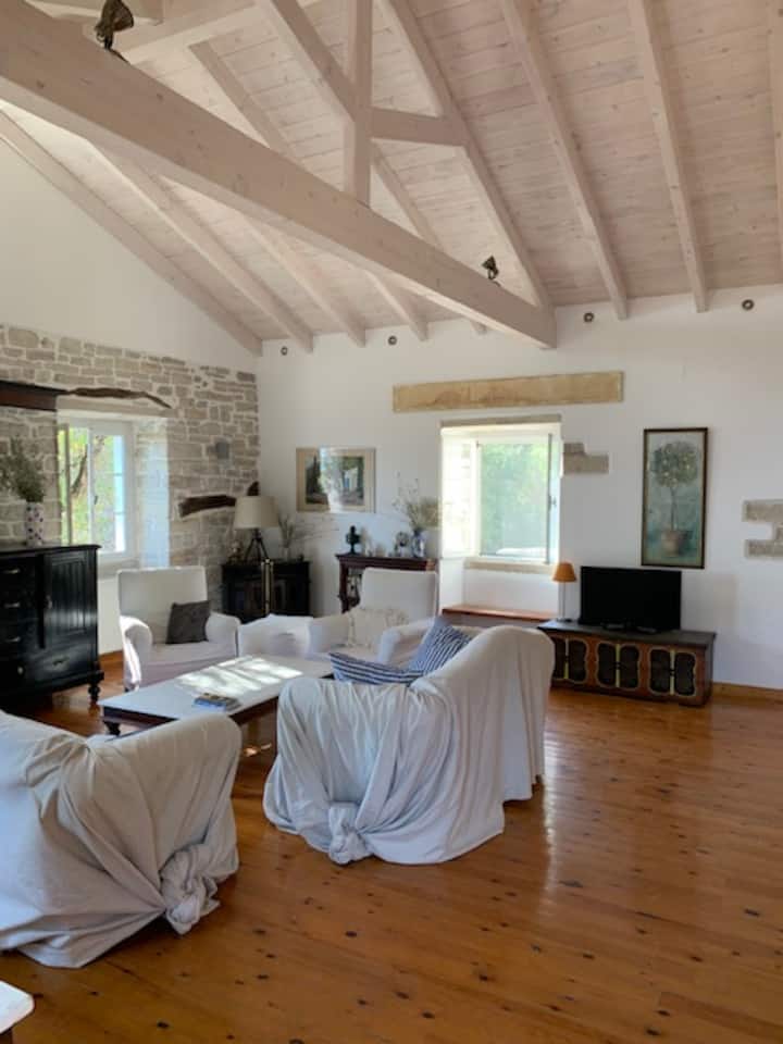 Საკათედრო ტაძრის მისაღები ოთახი