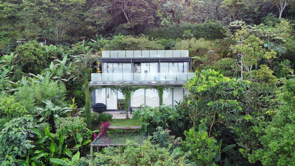 A modern multi-level home is enveloped by lush greenery, featuring expansive glass walls that connect the structure with the surrounding forest. A balcony adorned with potted plants offers outdoor views, while vibrant foliage creates a serene atmosphere around the property.