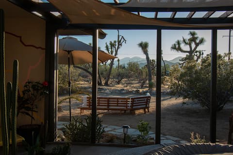 Hot Tub Time Machine - Joshua Trees & Cold Pool