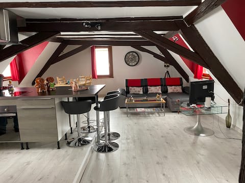 Popular Airbnb listing: P'tit Biscuit in Riquewihr