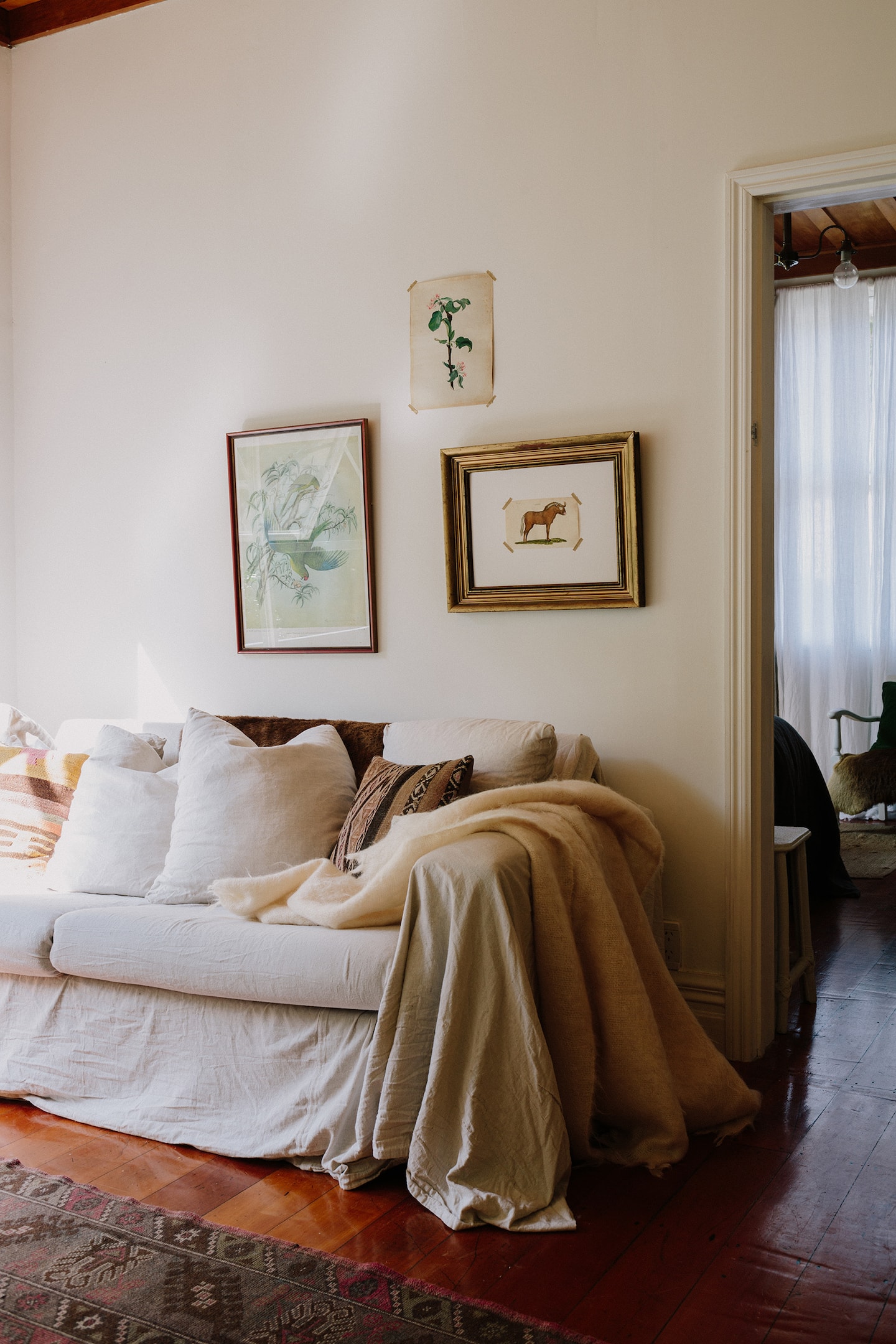 Wild Forest Hideaway Cottage -  Eco Retreat 3