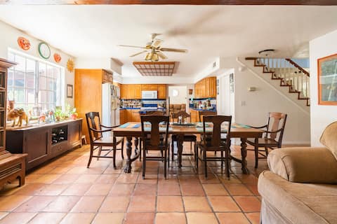 Restful room in a bamboo garden