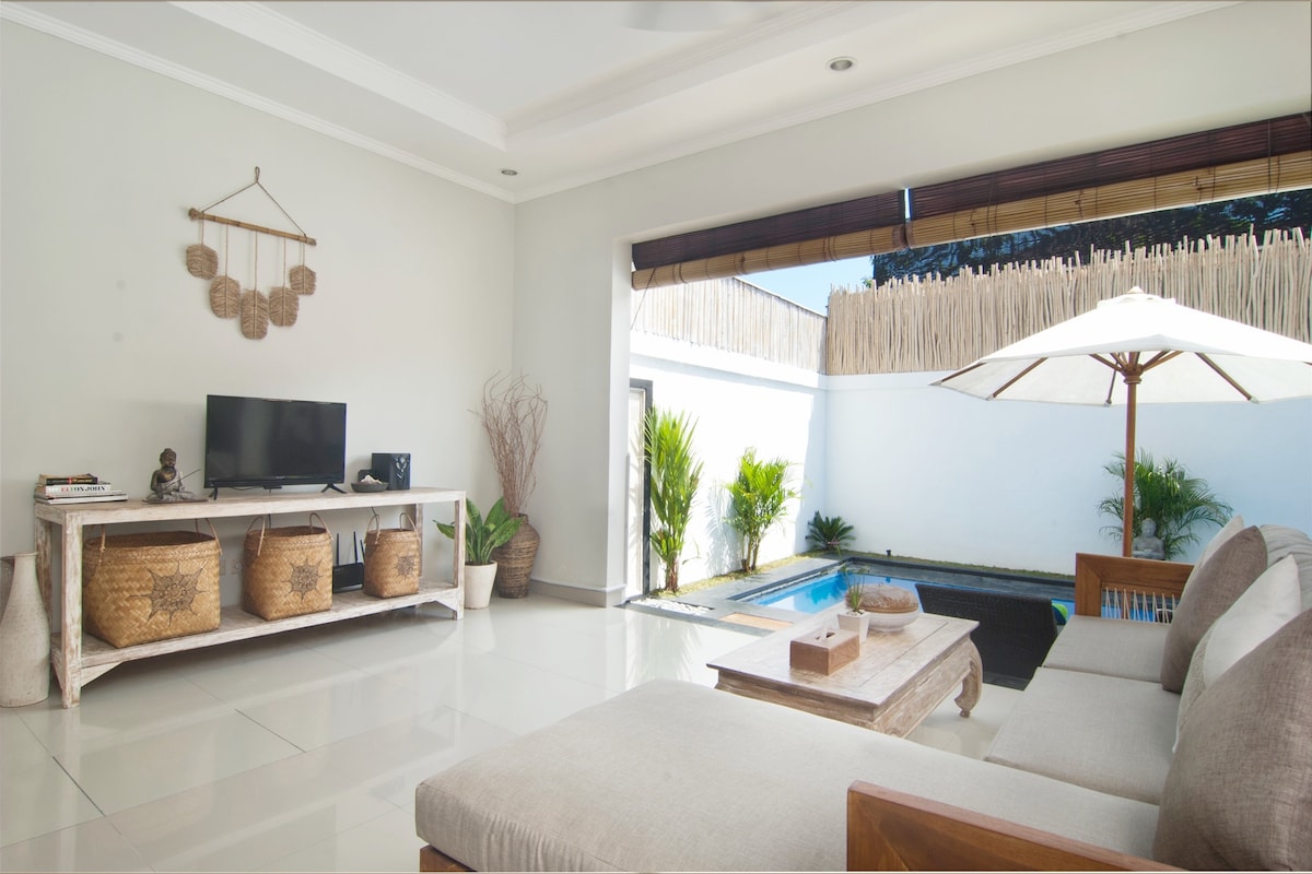 Glavni dnevni boravak u prizemlju s pogledom na vrt , Netflix, kauč i glazbenu opremu