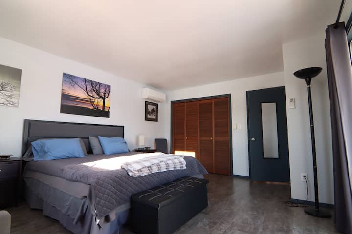 The master bedroom with a king size bed
