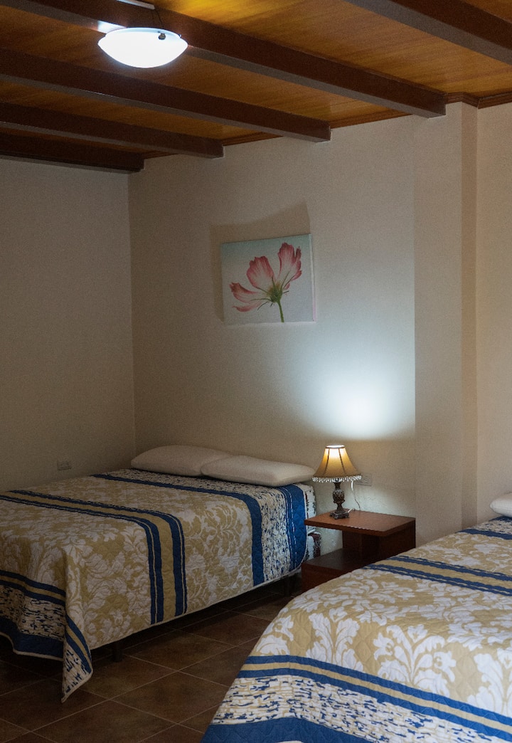 房间3 ： 2张双人床