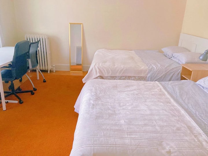 Purple Bamboo Yale at East Rock Houses for Rent in New Haven