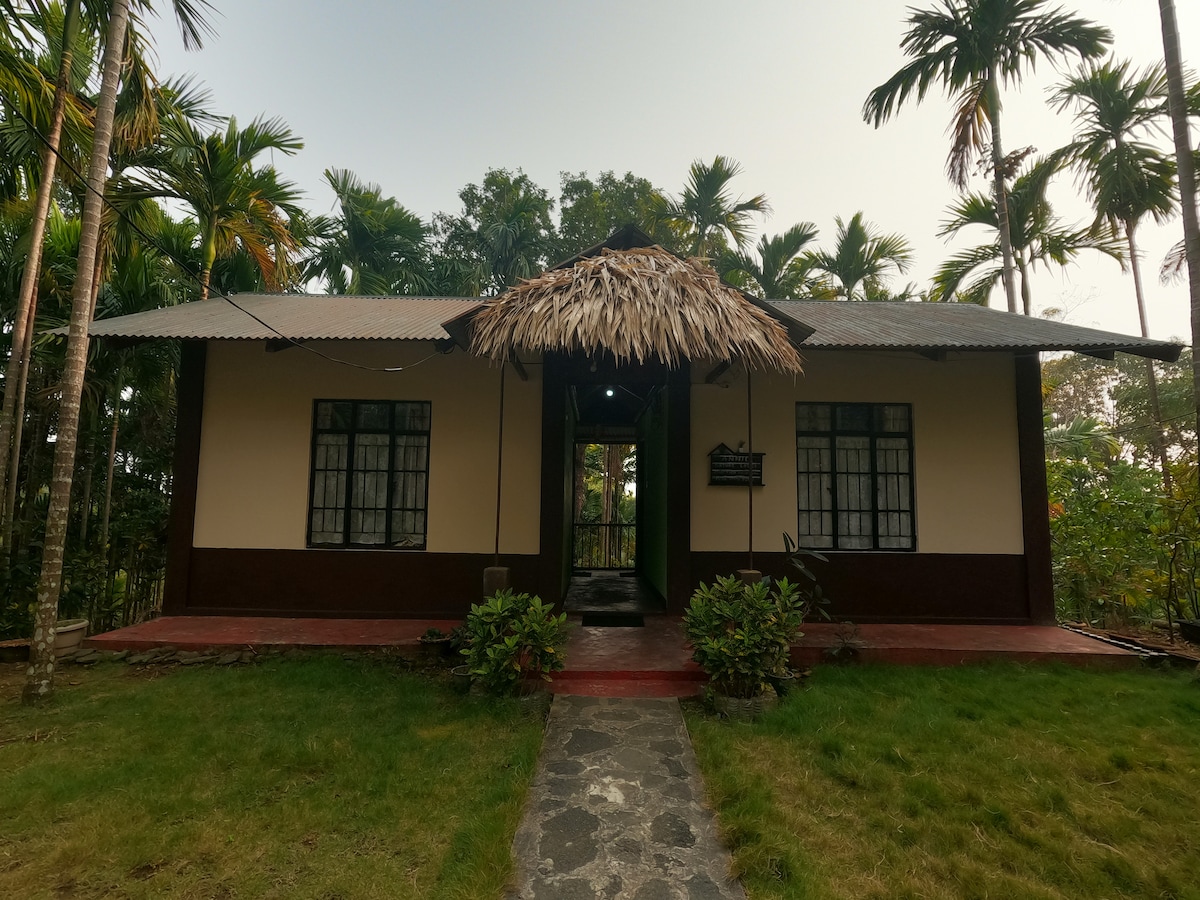 A charming house is surrounded by lush greenery, featuring a thatched roof and a covered front porch. A stone pathway leads to the entrance, which is framed by palm trees and well-maintained grass, creating a serene outdoor setting.
