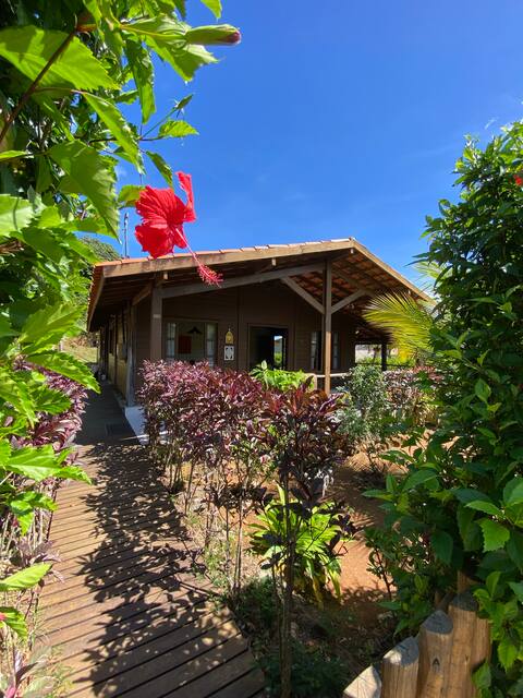 CASAMAR NORONHA