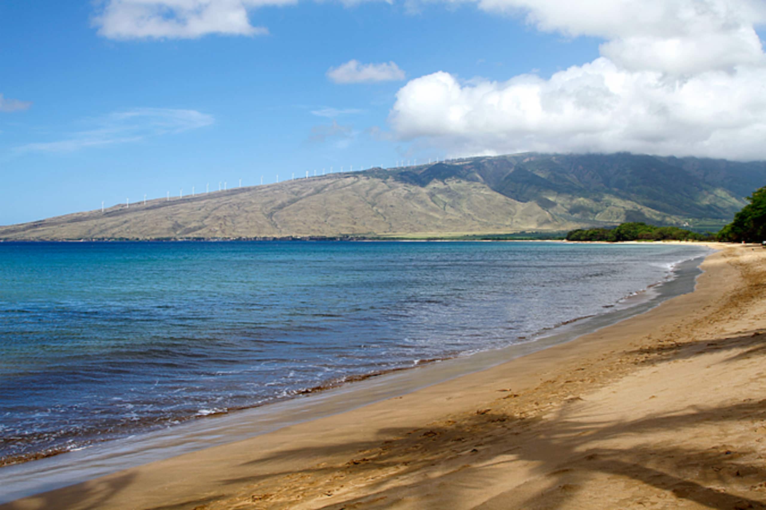 Condo in Kihei · ★4.9 · 1 bedroom · 1 bed · 1 bath - Image 20