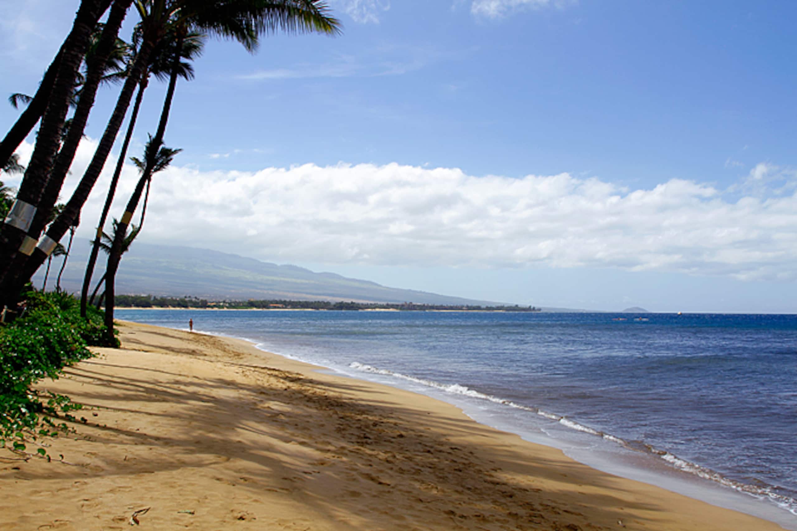 Condo in Kihei · ★4.9 · 1 bedroom · 1 bed · 1 bath - Image 19