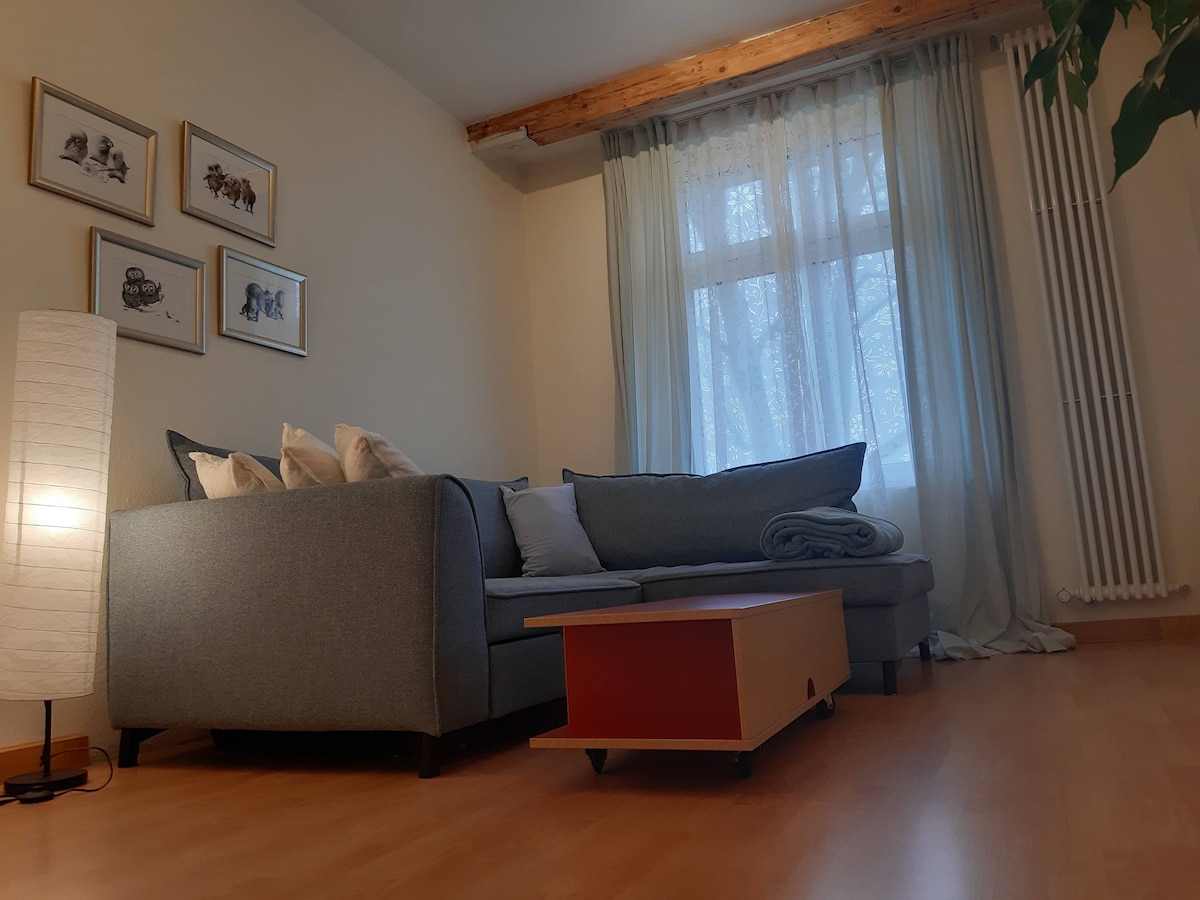 A cozy living area is depicted, featuring a soft gray sofa adorned with cushions and a warm blanket. A low coffee table occupies the center space, while a tall lamp provides ambient lighting. Natural light filters through a large window, accentuated by light curtains.