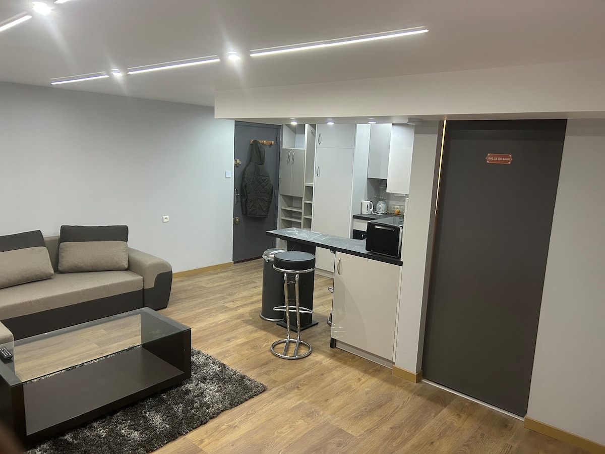Propriété Airbnb réussie: Pleasant Robertsau Apartment à Robertsau